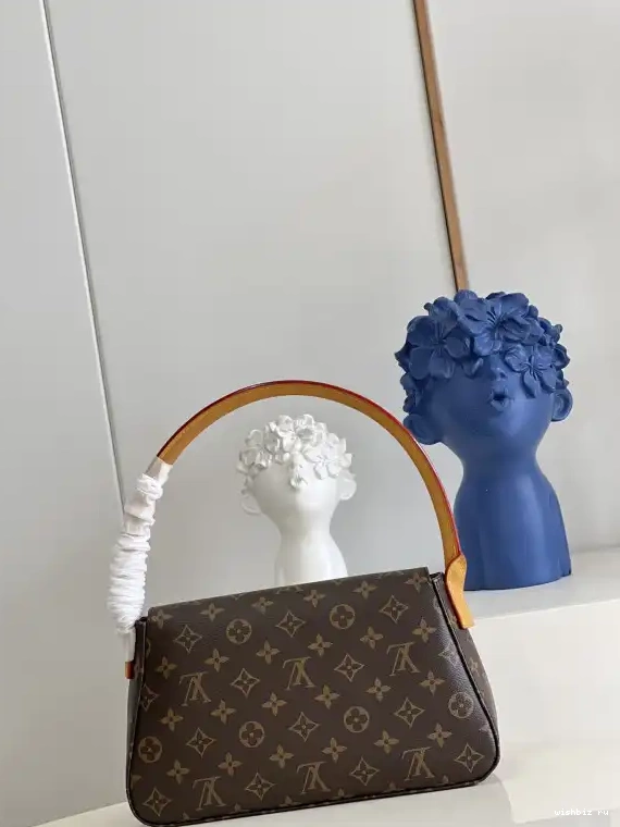 WIS looping bag-24x21x9cm Vuitton Louis 0624